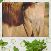 Afrika, Namibië, Okonjima. Leeuwen en leeuwen Theedoek (Gevouwen)