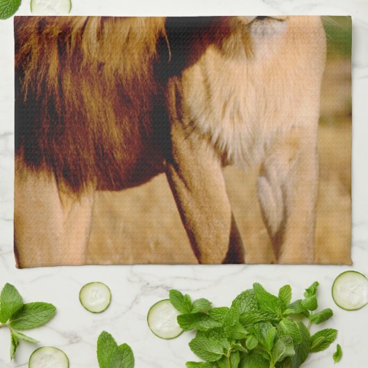 Afrika, Namibië, Okonjima. Leeuwen en leeuwen Theedoek (Gevouwen)