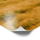 Afrika, Namibië, Okonjima. Lone manleeuw Foto Afdruk (Hoek)