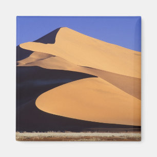 Afrika, Namibië, Sesriem en Sossusvlei Namib Magneet