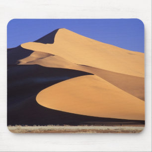 Afrika, Namibië, Sesriem en Sossusvlei Namib Muismat
