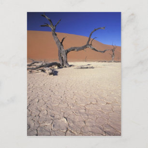 Afrika, Namibië, Sossusvlei-regio. Zandduinen Briefkaart