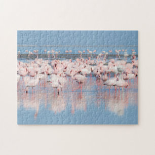 Afrika, Namibië, Walvis Bay Legpuzzel