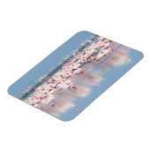 Afrika, Namibië, Walvis Bay Magneet (Linkerzijde)