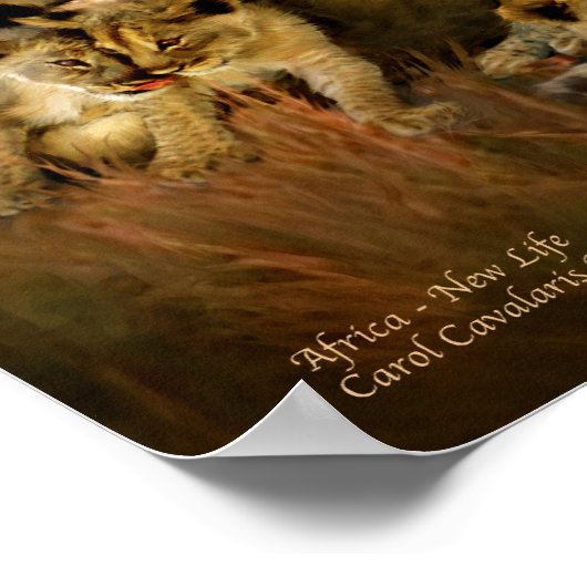 Afrika - Nieuw leven Poster/Afdruk Poster (Hoek)