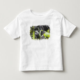 Afrika Oeganda, Bwindi Kinder Shirts