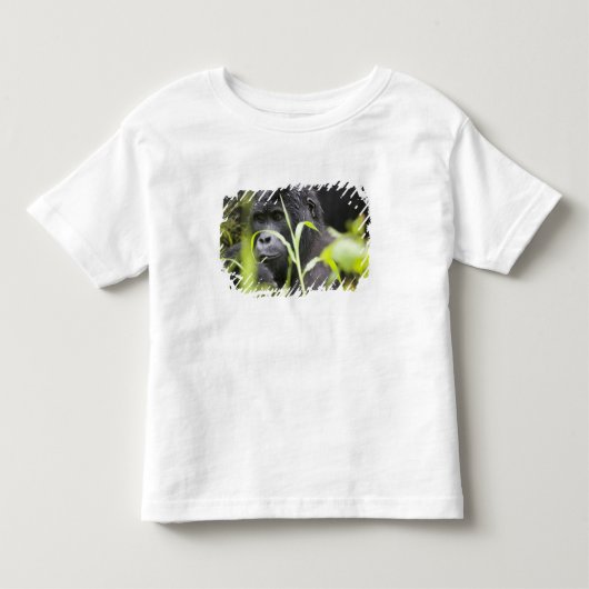 Afrika Oeganda, Bwindi Kinder Shirts (Voorkant)