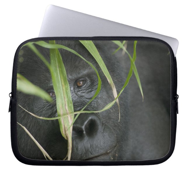 Afrika, Oeganda, Bwindi Laptop Sleeve (Voorkant)