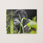 Afrika Oeganda, Bwindi Legpuzzel (Horizontaal)