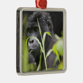 Afrika, Oeganda, Bwindi Metalen Ornament (Rechts)