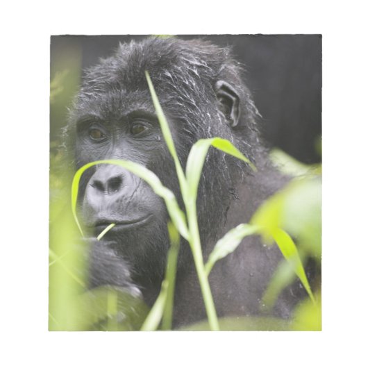 Afrika Oeganda, Bwindi Notitieblok (Voorkant)