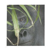 Afrika, Oeganda, Bwindi Notitieblok (Voorkant)