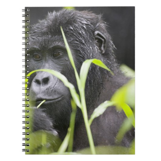 Afrika Oeganda, Bwindi Notitieboek (Voorkant)