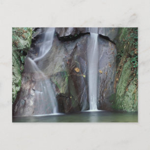 Afrika, Oeganda, Bwindi ondoordringbaar regenwoud, Briefkaart