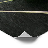 Afrika, Oeganda, Bwindi Poster (Hoek)