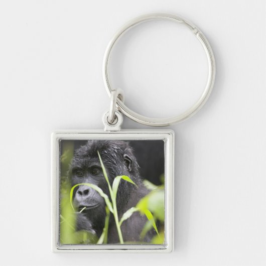 Afrika Oeganda, Bwindi Sleutelhanger (Voorkant)