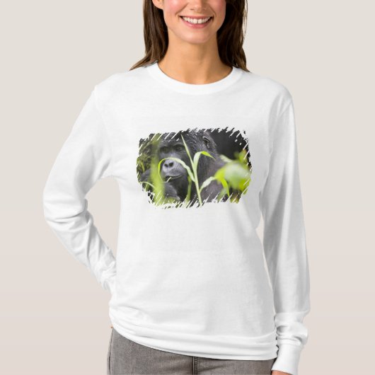 Afrika Oeganda, Bwindi T-shirt (Voorkant)