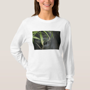Afrika, Oeganda, Bwindi T-shirt
