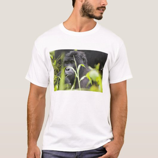 Afrika Oeganda, Bwindi T-shirt (Voorkant)