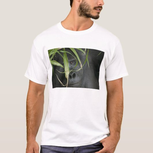 Afrika, Oeganda, Bwindi T-shirt (Voorkant)