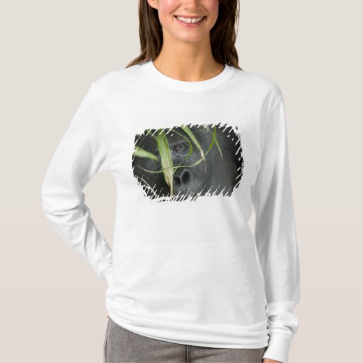 Afrika, Oeganda, Bwindi T-shirt (Voorkant)