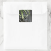 Afrika, Oeganda, Bwindi Vierkante Sticker (Tas)