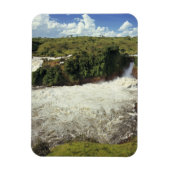 Afrika, Oeganda, Murchison Herfsten NP. De ijskap Magneet (Verticaal)