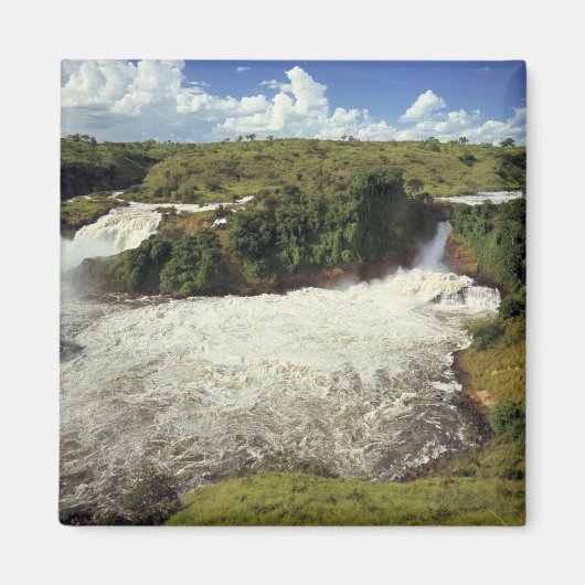 Afrika, Oeganda, Nationaal park Murchison Falls. H Magneet (Voorkant)