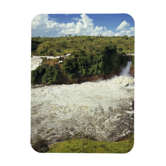 Afrika, Oeganda, Nationaal park Murchison Falls. H Magneet (Verticaal)