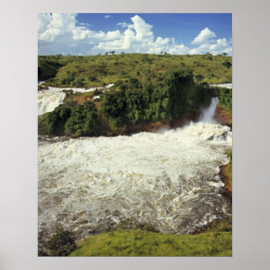 Afrika, Oeganda, Nationaal park Murchison Falls. H Poster