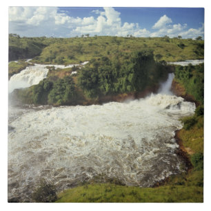 Afrika, Oeganda, Nationaal park Murchison Falls. H Tegeltje