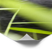 Afrika, Oeganda, ondoordringbaar nationaal Poster (Hoek)