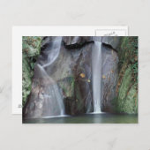 Afrika, Oeganda, ondoordringbaar regenwoud van Bwi Briefkaart (Voorkant / Achterkant)