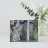 Afrika, Oeganda, ondoordringbaar regenwoud van Bwi Briefkaart (Staand voorkant)