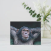 Afrika, Oost-Afrika, Tanzania, Gombe National 2 Briefkaart (Staand voorkant)