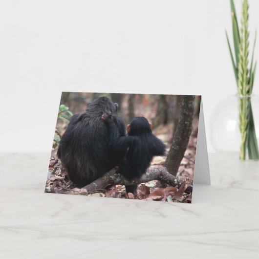 Afrika, Oost-Afrika, Tanzania, Gombe National Kaart (Voorkant)