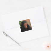 Afrika, Oost-Afrika, Tanzania Vierkante Sticker (Envelop)