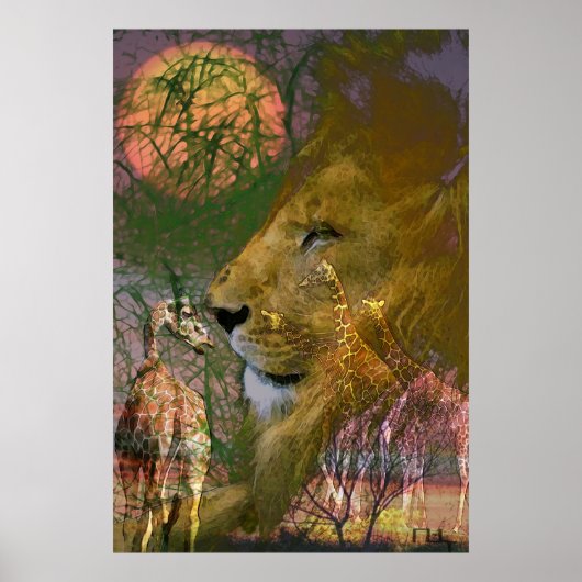 Afrika Poster (Voorkant)