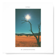 Afrika Savannah Grass Tree Uitzicht Panorama Poste