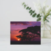 AFRIKA: Serengeti Sunset Briefkaart (Staand voorkant)