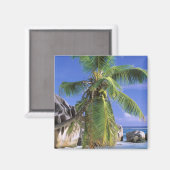 Afrika, Seychellen, La Digue-eiland. Graniet 2 Magneet (Voorkant / Achterkant)