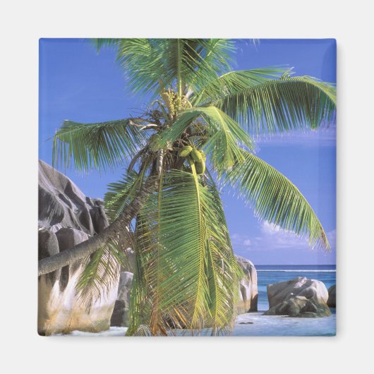 Afrika, Seychellen, La Digue-eiland. Graniet 2 Magneet (Voorkant)