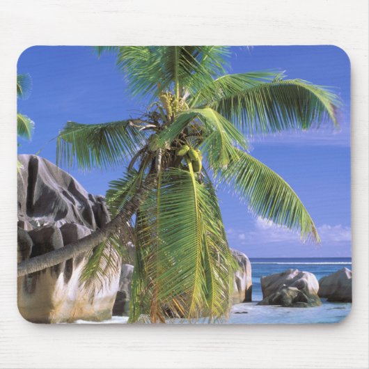 Afrika, Seychellen, La Digue-eiland. Graniet 2 Muismat (Voorkant)