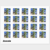 Afrika, Seychellen, La Digue-eiland. Graniet 2 Vierkante Sticker (Vel)