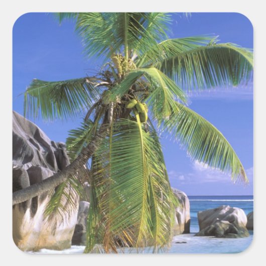 Afrika, Seychellen, La Digue-eiland. Graniet 2 Vierkante Sticker (Voorkant)