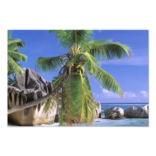 Afrika, Seychellen, La Digue-eiland. Graniet Foto Afdruk (Voorkant)