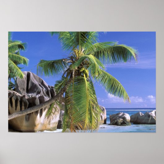 Afrika, Seychellen, La Digue-eiland. Graniet Poster (Voorkant)