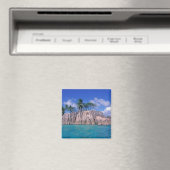 Afrika, Seychellen, Praslin-eiland, St. Pierre Magneet (Insitu (Vaatwasser))