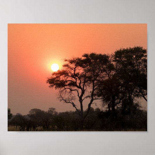 Afrika Sunset Trees Natuur Landschappen Skies Poster (Voorkant)
