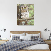 Afrika. Tanzania. Afrikaanse dwergooruil bij Taran Canvas Afdruk (Insitu (Slaapkamer))